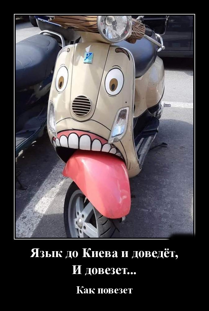 Podborka luchshikh demotivatorov 532 023